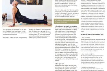 Community Yoga Festival 2026